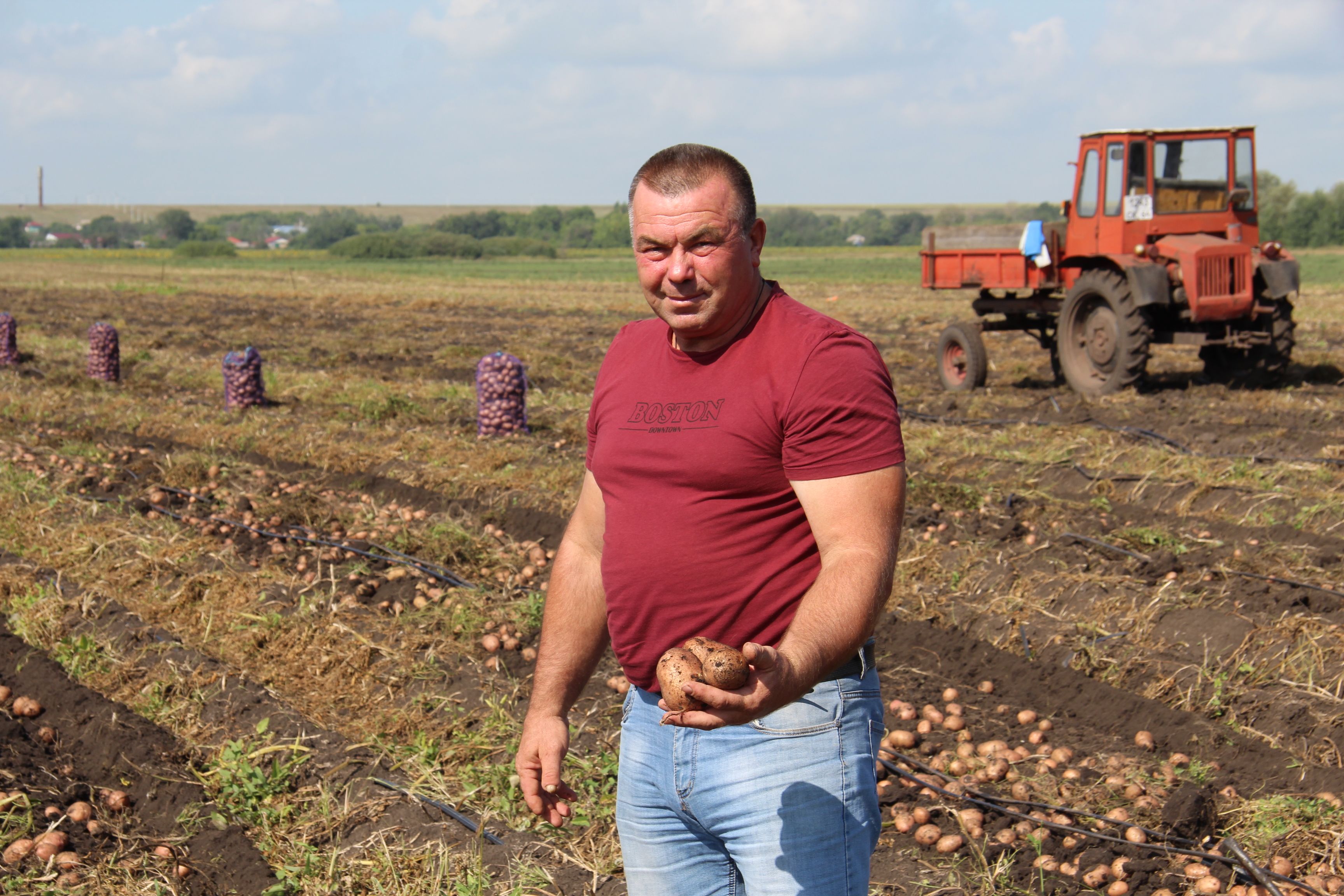 Погода саратовская самойловский. Хозяйство Самойловского района Саратовской области. Александр Козлов Самойловский район Саратовская область. Благовестное село фермер Самойловский район.