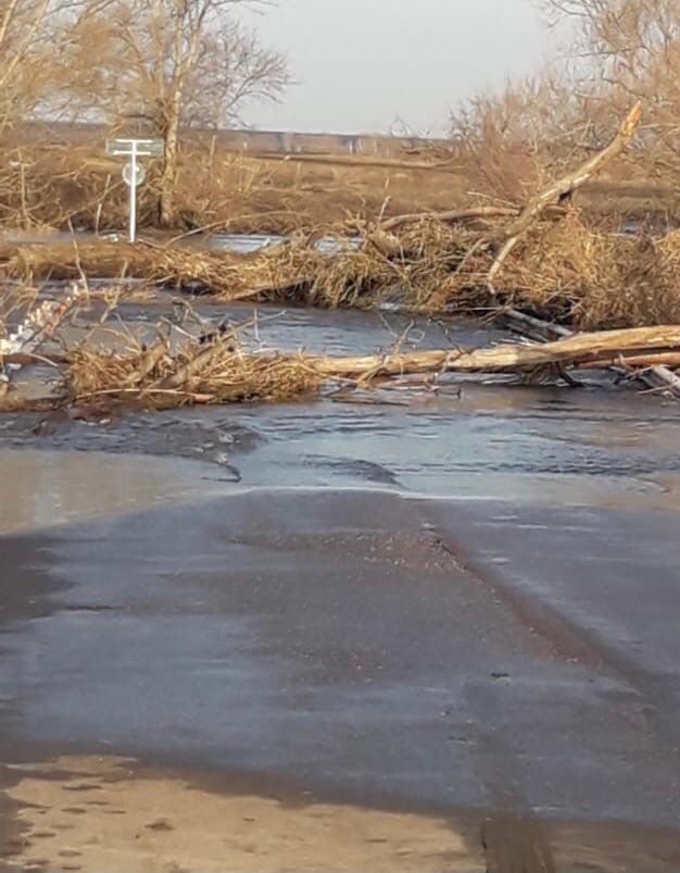 Село песчанка саратовская область самойловский. Залесянка Самойловский район Саратовской области. Песчанка Самойловский район. Песчанка Саратовская область Самойловский район. Село Криуша Самойловского района.