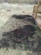 В Низовке продолжают благоустраивать территорию вблизи сельского кладбища