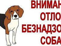 ВНИМАНИЮ ВЛАДЕЛЬЦЕВ СОБАК!