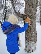 В Благовещенской школе прошла акция «Покормите птиц зимой»