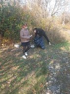 Улицы родного села стали чище