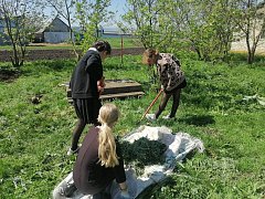 Школьники провели акцию «Посади дерево»