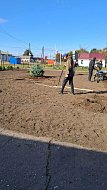 В Полтавке в центре села высадили хвойные 