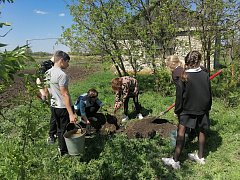 Школьники провели акцию «Посади дерево»