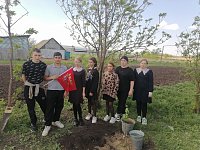 Школьники провели акцию «Посади дерево»