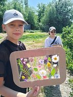 Воспоминания о лете сохранит гербарий