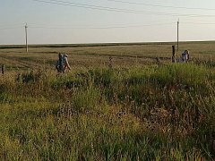 В Садовом провели субботник на сельском кладбище