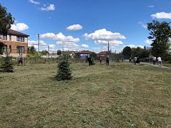 В центральном парке навели порядок