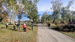 В центральном парке Самойловки прошел субботник