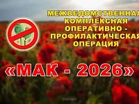 В регионе стартовал третий этап оперативно-профилактической операции «Мак - 2026»