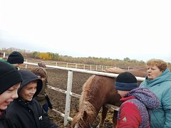 Самойловские школьники побывали на Еланском конном заводе
