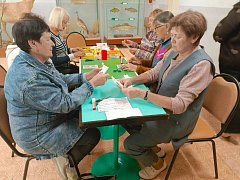 Гостями краеведческого музея стали «серебряные волонтёры»