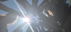 «Праздник дружбы» прошел для детей из п. Краснознаменского