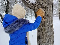 В Благовещенской школе прошла акция «Покормите птиц зимой»