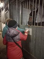 Самойловские школьники побывали на Еланском конном заводе