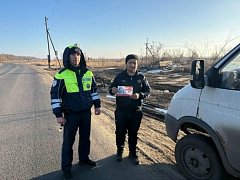 В Самойловском районе госавтоинспекторы провели профилактическую акцию «Безопасные каникулы!»