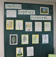 В Самойловской средней школе определили победителя и призеров конкурса рисунков 