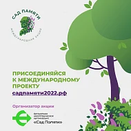 Посадить 33 млн деревьев от Калининграда до Чукотки за три месяца? Это возможно!