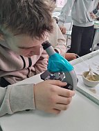 Школьники из Красавки эксперимент с ДНК банана