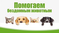 Жители Полтавки участвовали в акции «Счастливые хвостики»