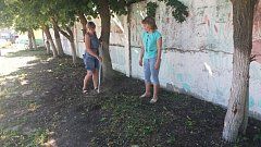 В экологической акции «Чистый берег» приняли участие жители Самойловки