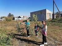 В Полтавке дружно провели субботник