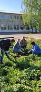 Работники Опытной станции «Красавская» присоединились к акции «Сад Памяти»