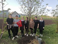 Школьники провели акцию «Посади дерево»