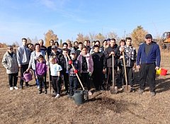 В Хрущевке прошла акция «Посади дерево»