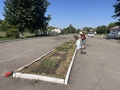 Чтобы поселок стал чище