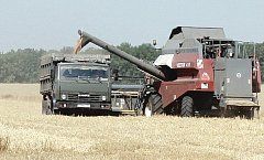 Самойловские хлеборобы получили 100 тысяч тонн зерна. Поздравляем тружеников полей!