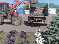 Летние работы по благоустройству продолжаются