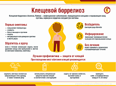 5 вопросов о клещевом боррелиозе