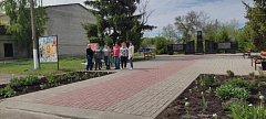В Краснознаменском разбиты клумбы Победы