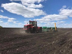 На полях района продолжаются посевные работы