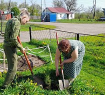 В Полтавке проводят работы по озеленению