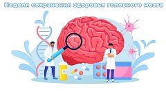 В России Неделя сохранения здоровья головного мозга