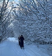 Красавские школьники открыли лыжный сезон