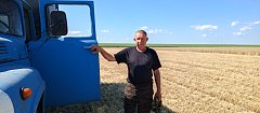 Всё подчинено уборке хлеба