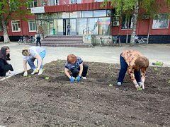 В Самойловке высадили цветы