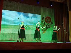 В Самойловке прошел тематический концерт «В единстве народа – сила России»