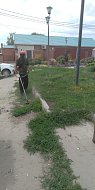 Летние работы по благоустройству продолжаются