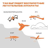 Беспилотник в небе: что делать?