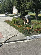 Чтобы поселок стал чище