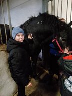 Школьники из Залесянки посетили Еланский конный завод