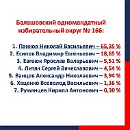 Предварительные итоги выборов 