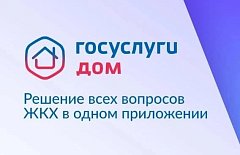 Более 311 тысяч саратовцев пользуются приложением «Госуслуги.Дом»