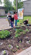 В Краснознаменском разбиты клумбы Победы
