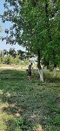 В парке села Святославка косят траву